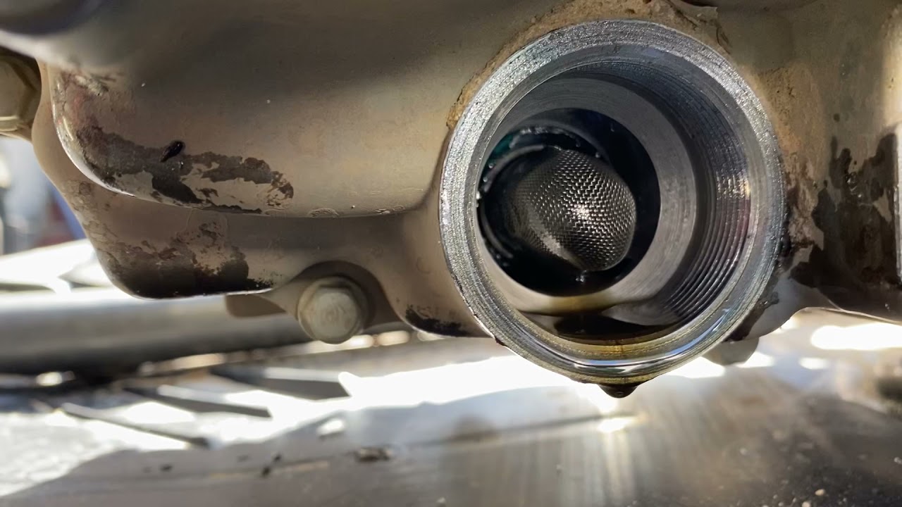 2020 Vitacci Pentora 250 oil change and chain adjustment.