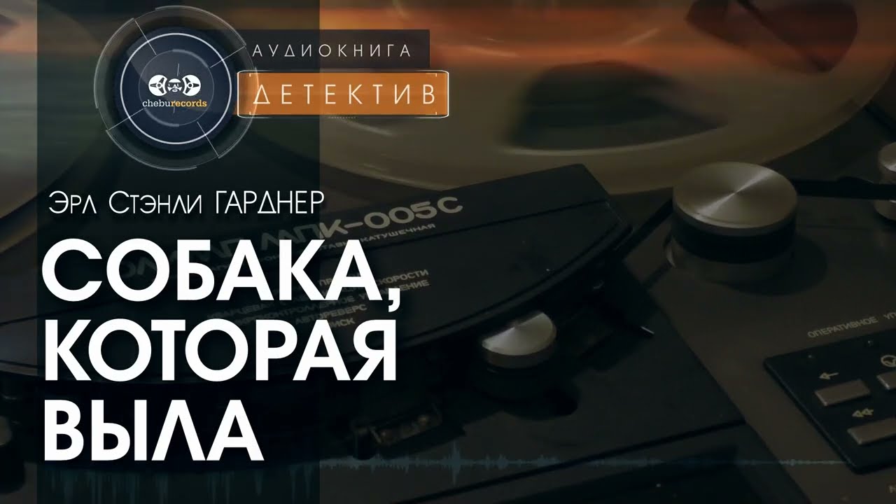 Собака, которая выла - Эрл Стэнли Гарднер | аудиокнига #детектив