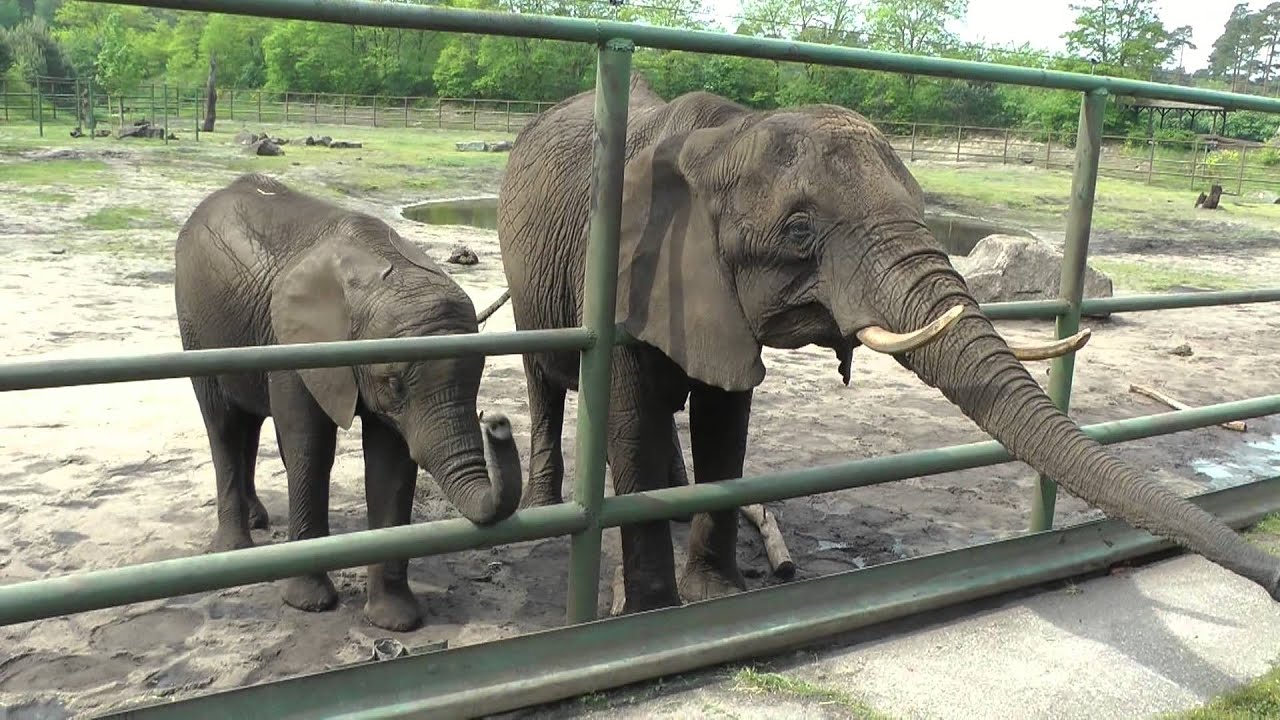 Serengeti Park Hodenhagen