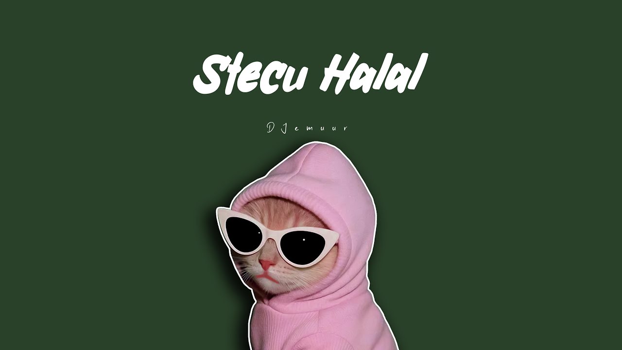 Stecu Halal