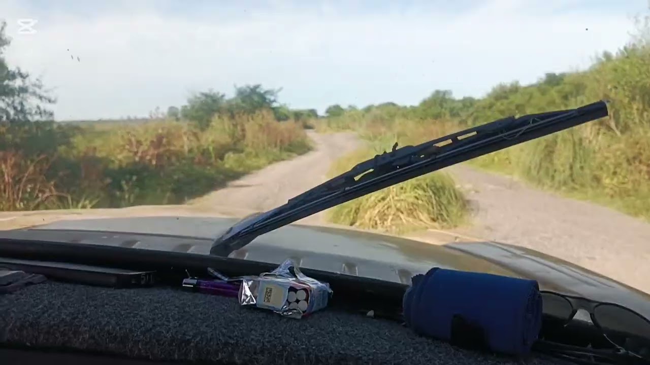 Camino boca cerrada Punta Lara 