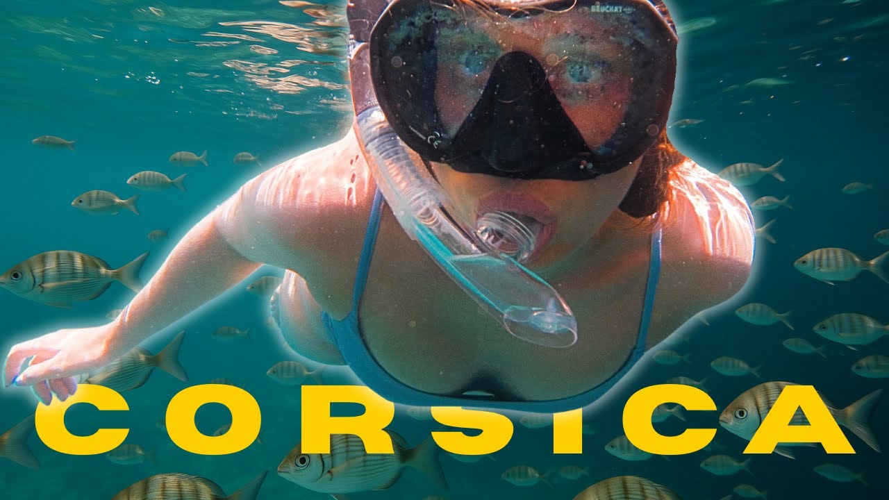 The BEST places to SNORKEL in WEST CORSICA | We saw dolphins!