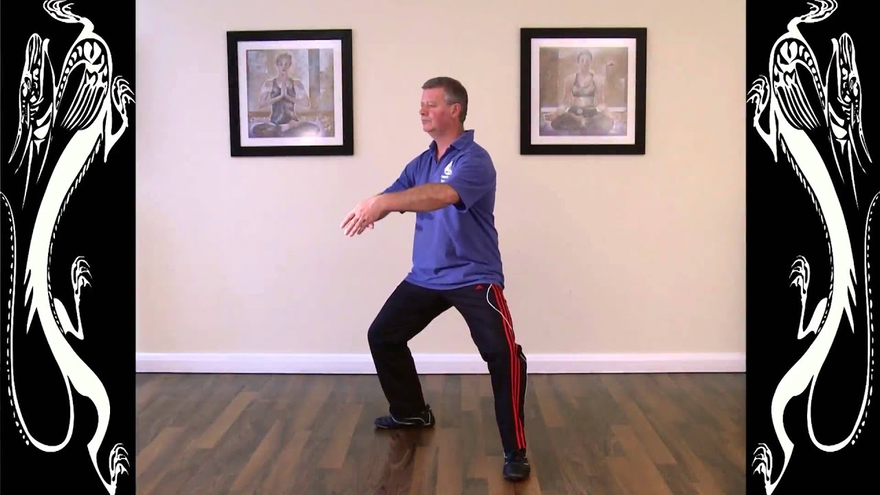 Swansea T'ai Chi - DVD Taster