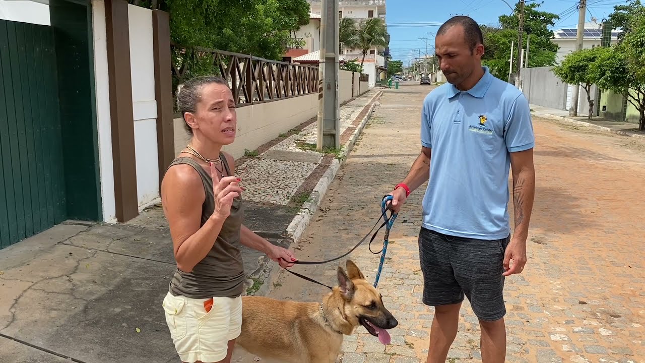 Treinando comando junto com filhote de Pastor Malinois