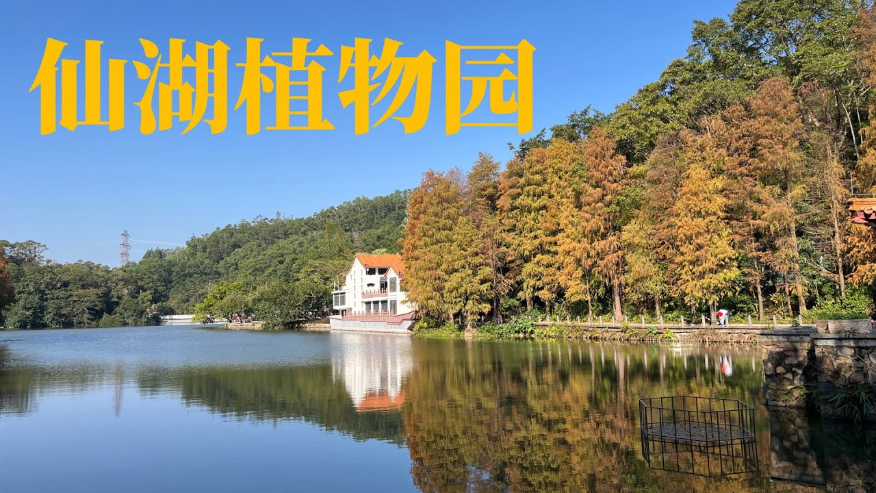 深圳仙湖植物园真实逛园体验｜Shenzhen Fairy Lake Botanical Garden Walk Tour