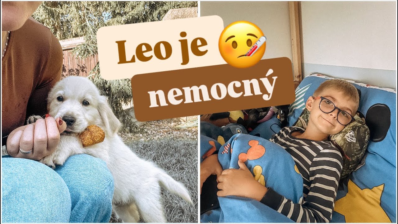 🍁LEO JE NEMOCNÝ 🤒| upršený den🌧️, 🐶odchod štěňátek pokračuje..🐾🧡