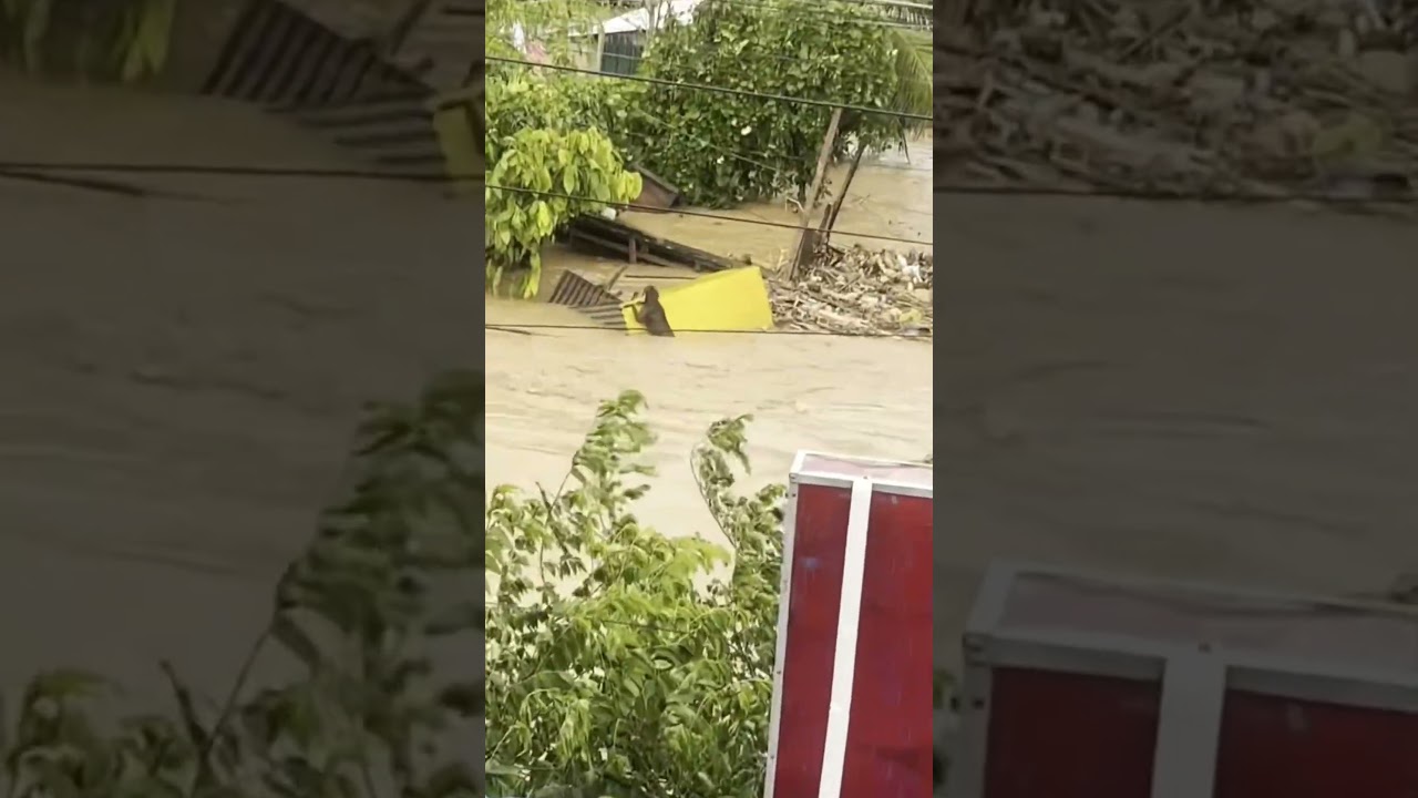 Natural disasters caught on camera #trending #floods #flooding #disaster #nature
