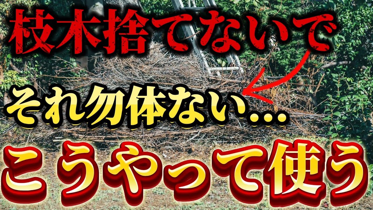 【枝木利用】剪定した枝はこう使う！！それまだ捨ててるの？私たちは畑で〇〇に使います。