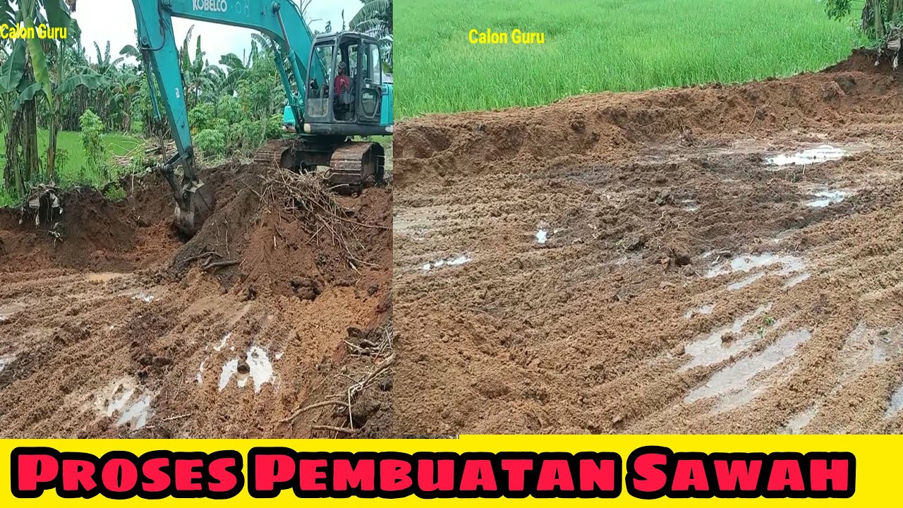Membuat Sawah Menggunakan Excavator