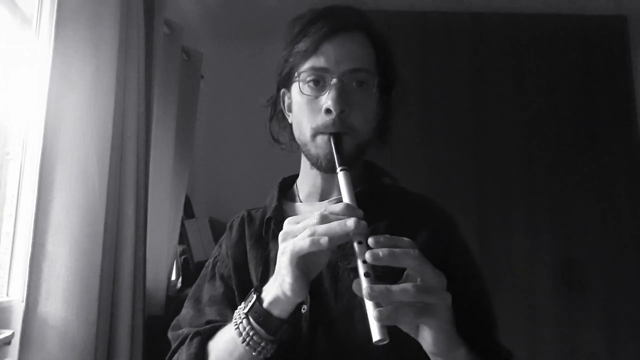 Tutorial: Irish Jig - Geese In The Bog. Tin Whistle & Guitar