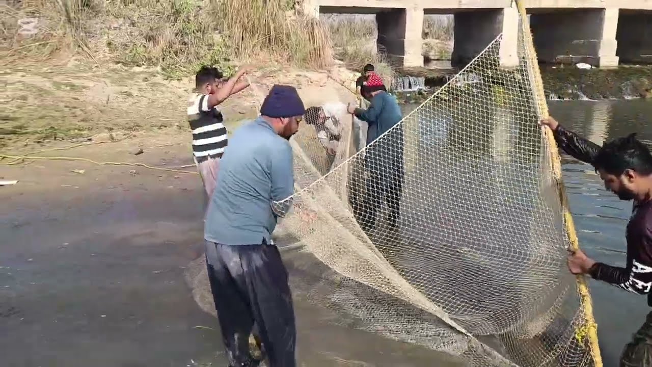 Net fishing with big net fish catching amezing fishing