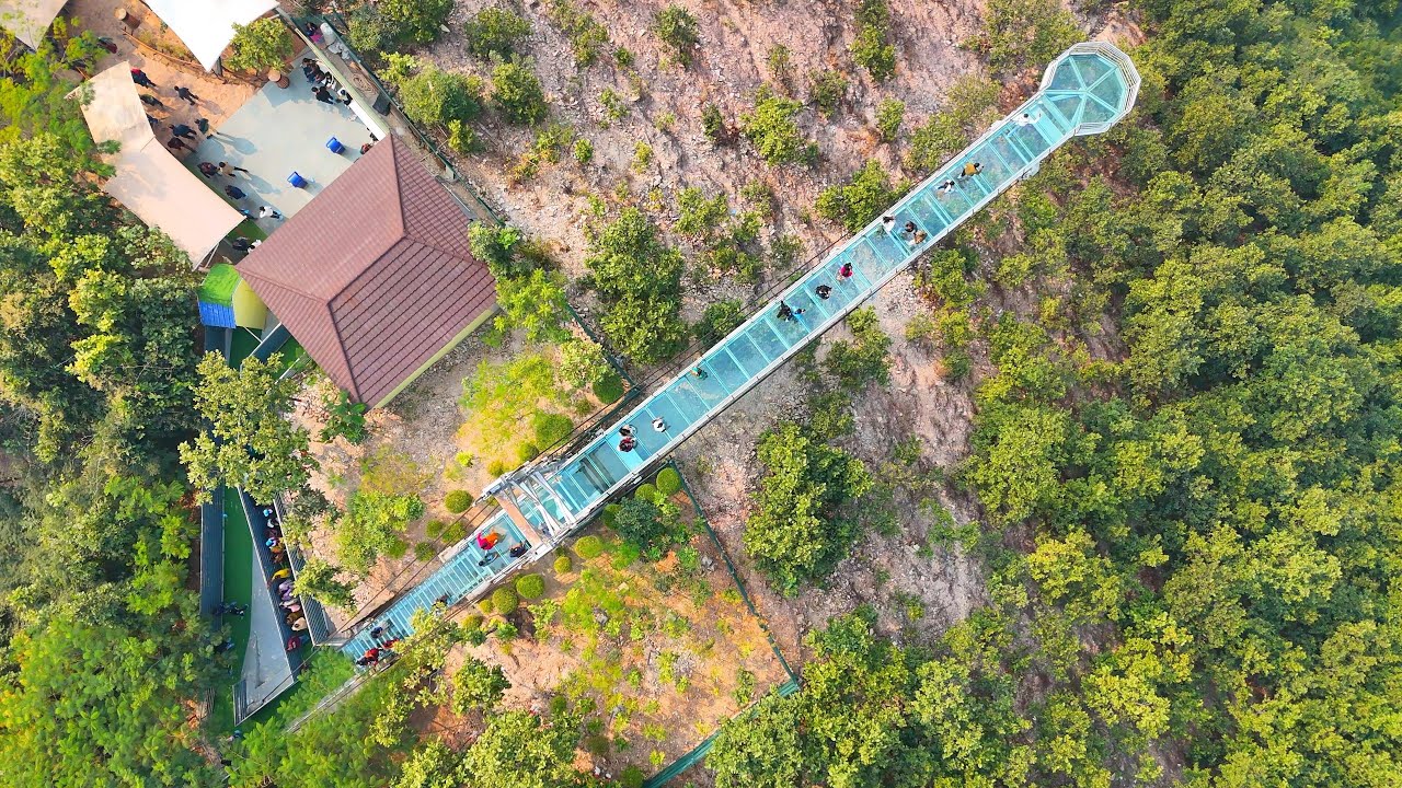 Rajgir Glass Bridge: Breathtaking Aerial View | Must-Visit Adventure Spot!