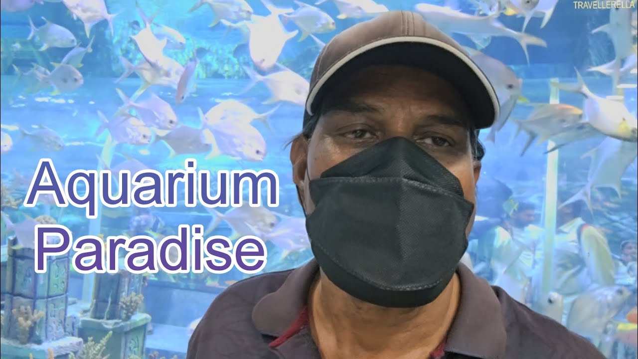 | India's BIGGEST Aquarium Paradise | India's LONGEST walk through tunnel, mermaid show Bengaluru |