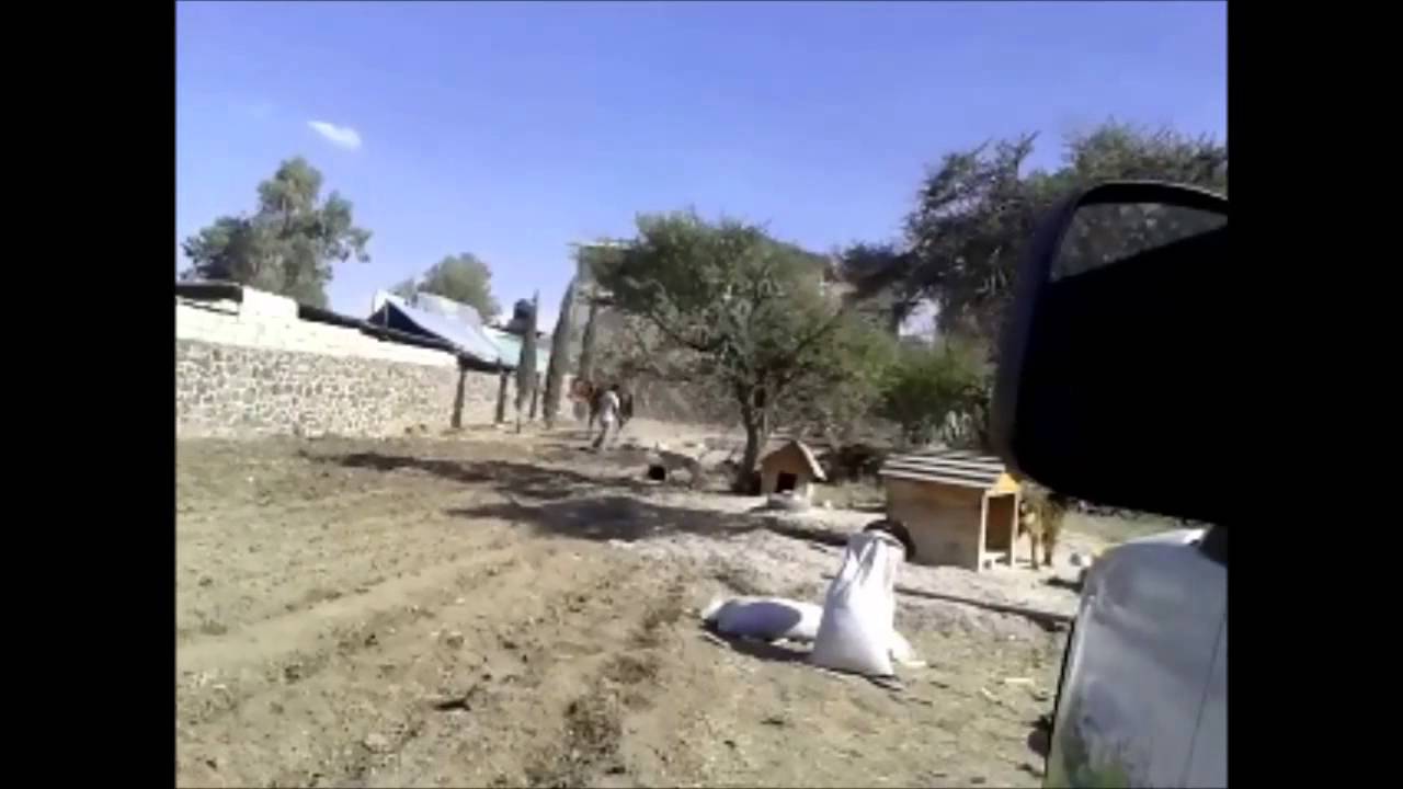 Siembra de maíz con ayuda de lluvia solida