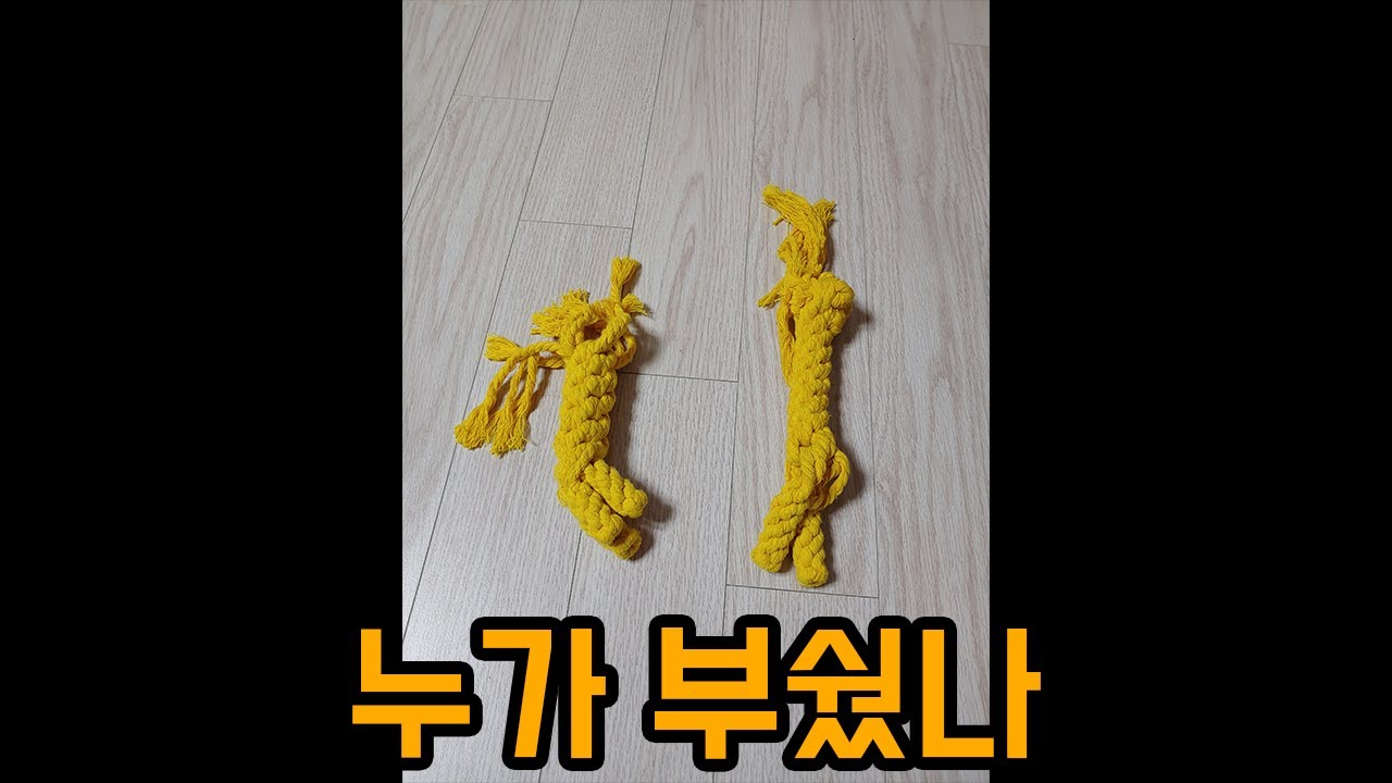 모모 장난감 파괴범