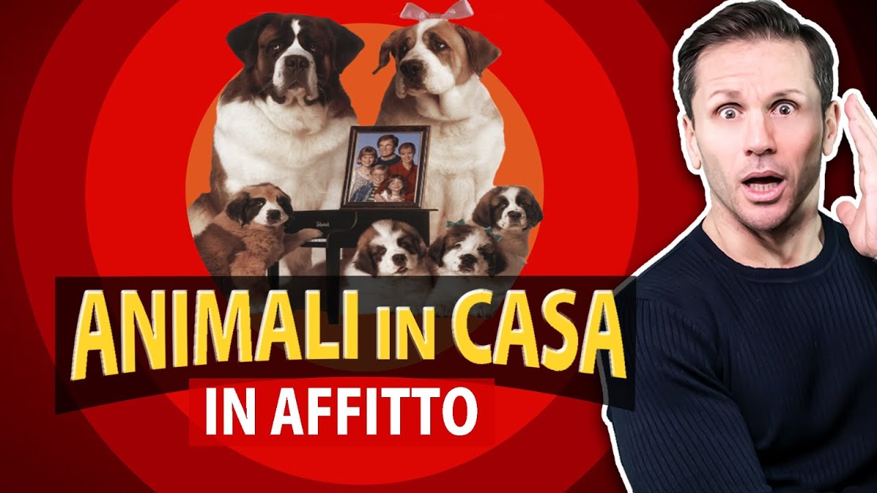 Video CANI e gatti in casa in AFFITTO: Che dice la legge | Avv. Angelo Greco