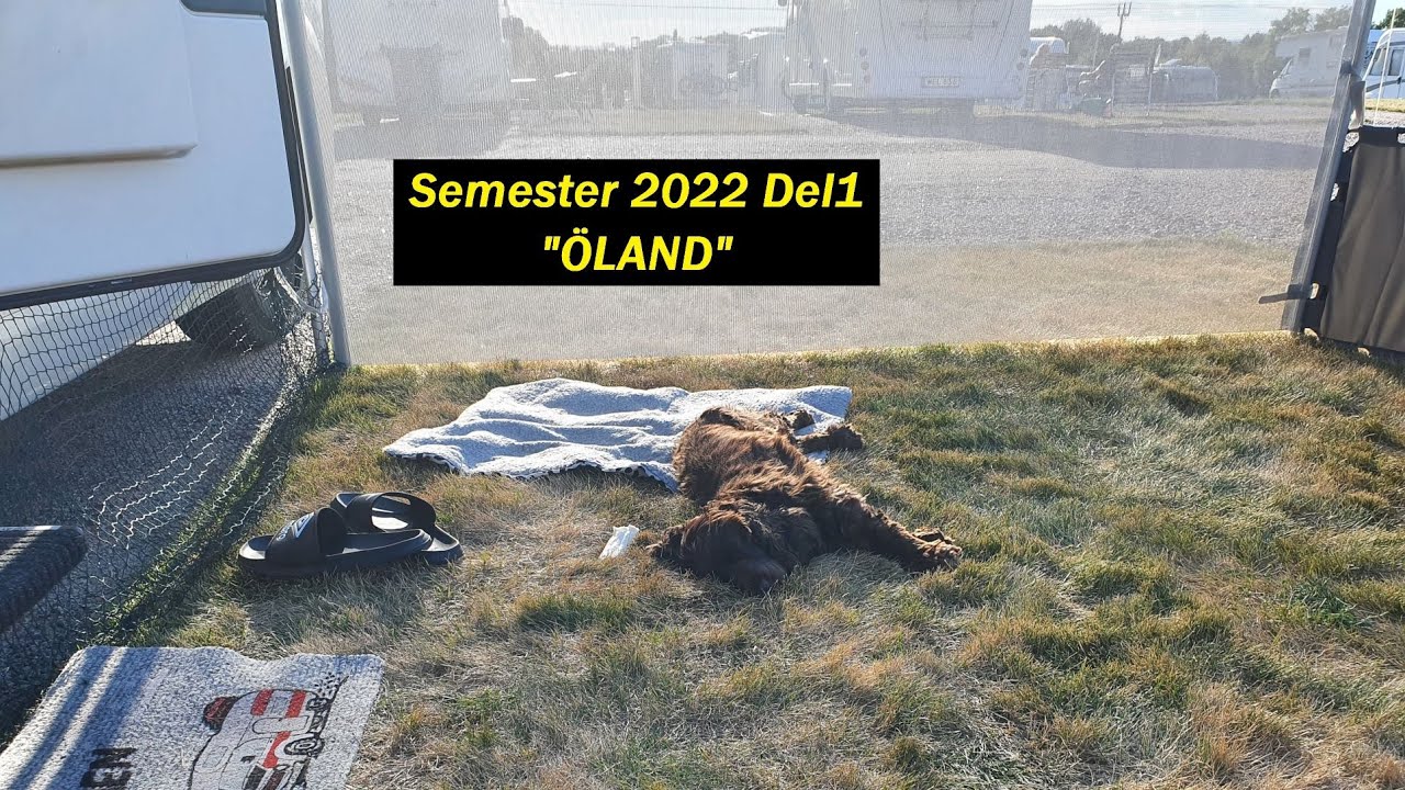Semester 2022 Del1 