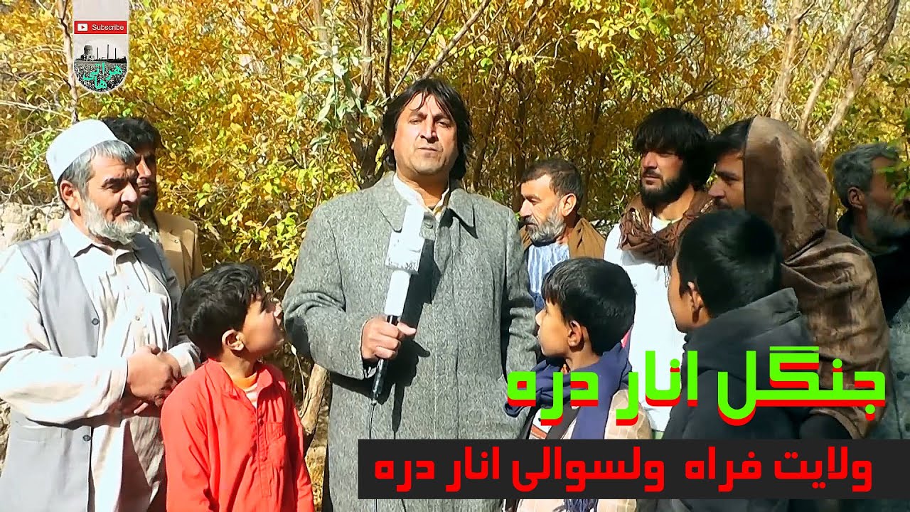 جنگل انار دره  گزارشی ازجنگل ولسوالی اناره ولایت فراه The forest of Anare district, Farah province 2