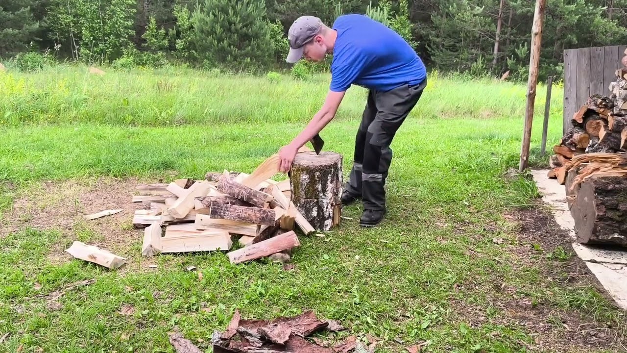 Колю сосну часть 2