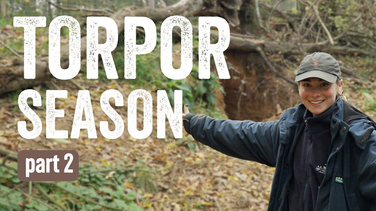 Сезон оцепенения — Часть 2 | Что происходит в логове Диего!