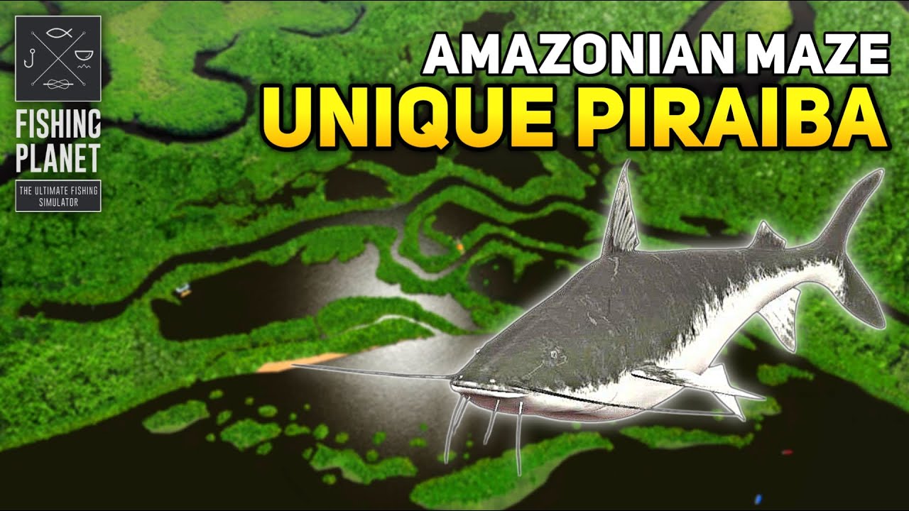 Unique Piraiba Amazonian Maze - Fishing Planet