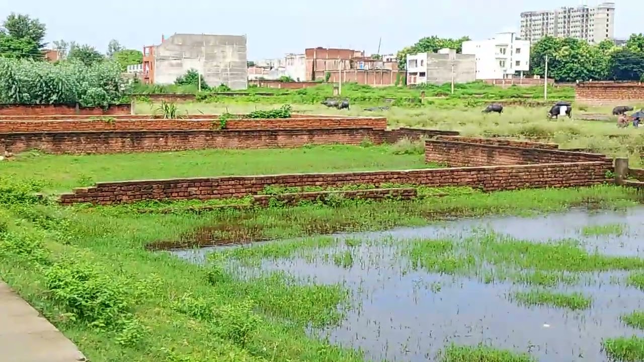 Plot sale Near khorabar medi Deoria bypass Taramandal road Gorakhpur 
