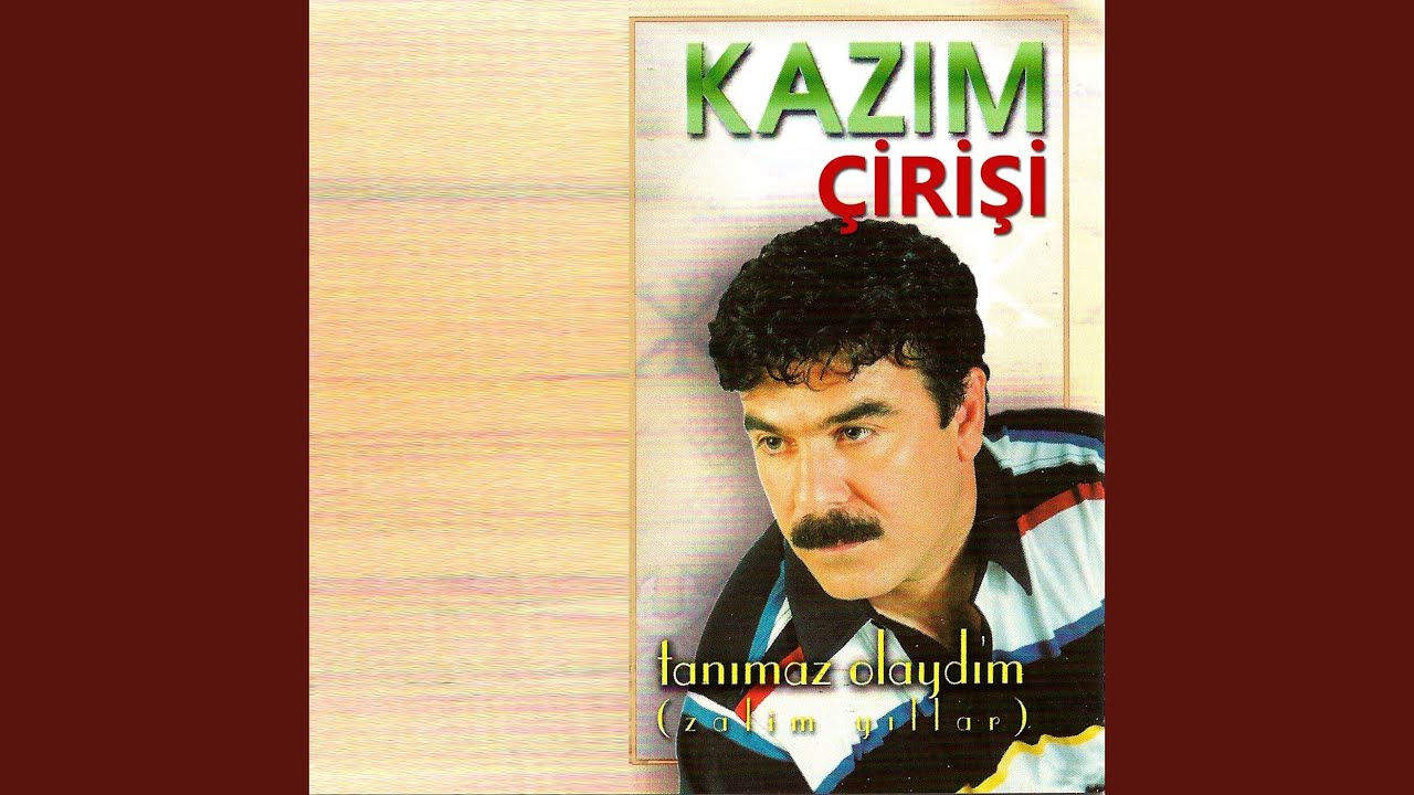 Tanımaz Olaydım