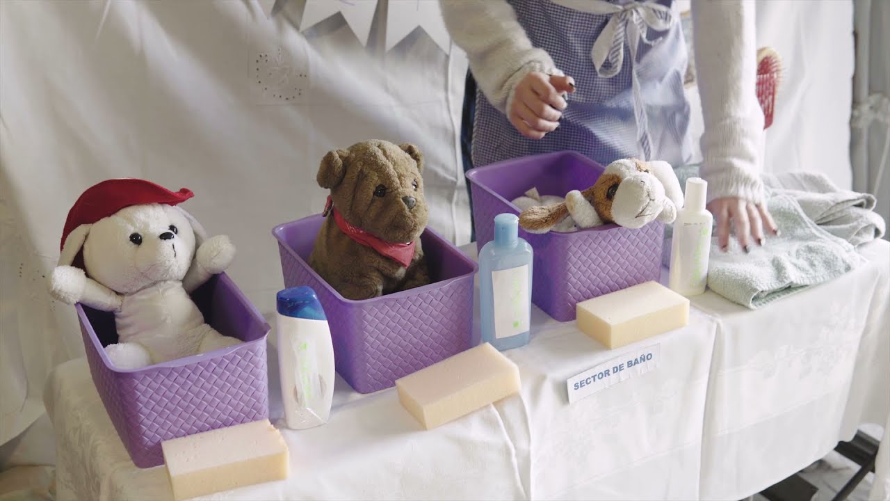 Juego centralizador: “La Veterinaria de la sala”