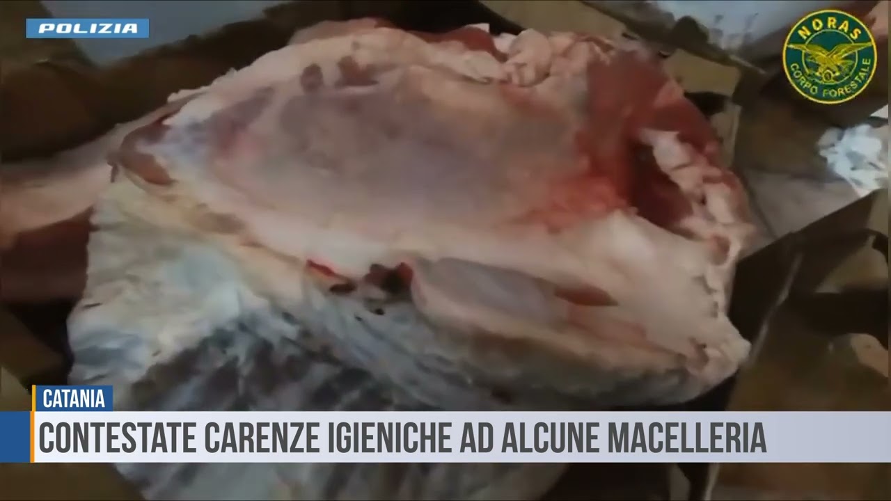Catania: Contestate Carenze igieniche  ad alcune  macelleria