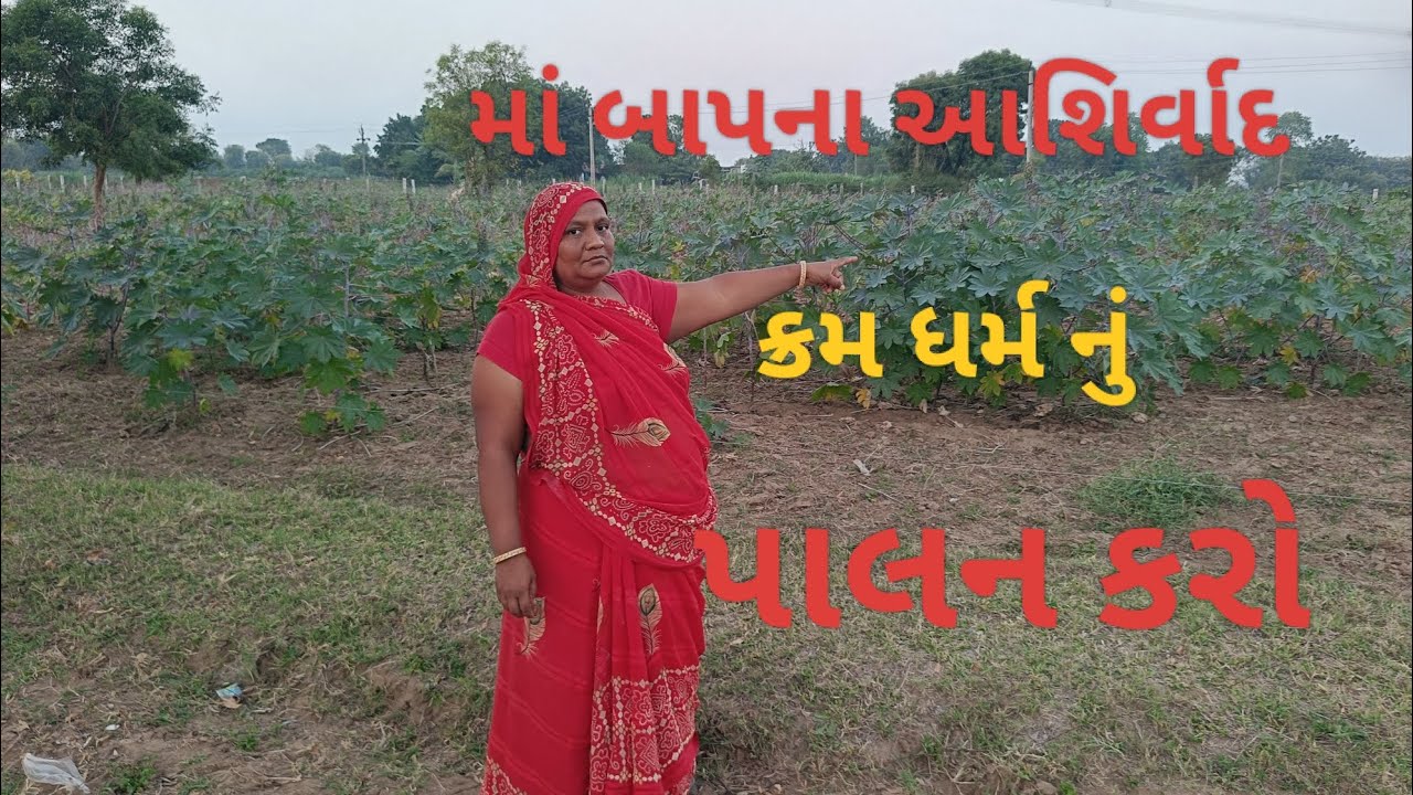 માં બાપના આશીર્વાદ કર્મ ધર્મ નું પાલન કરો 