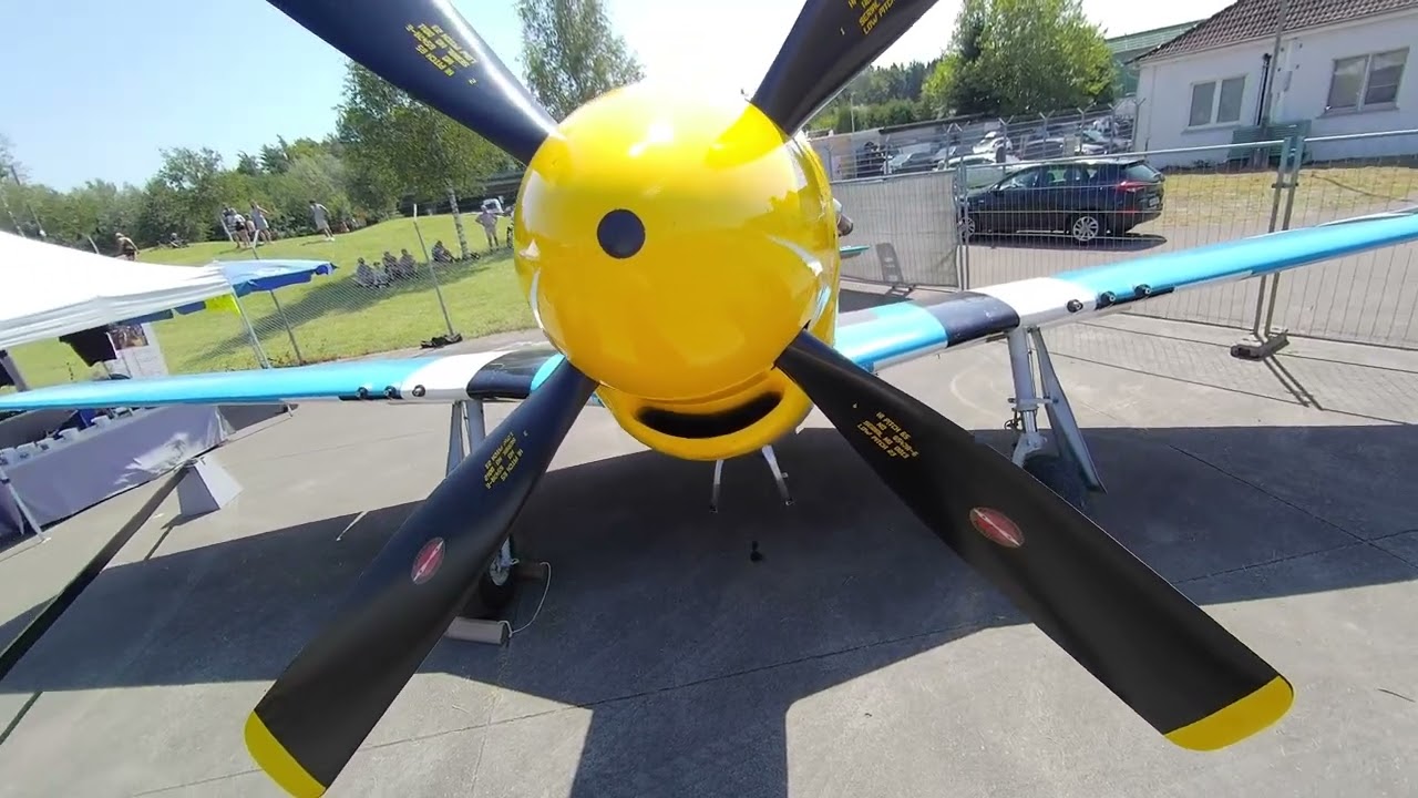 Mustang P-51D 