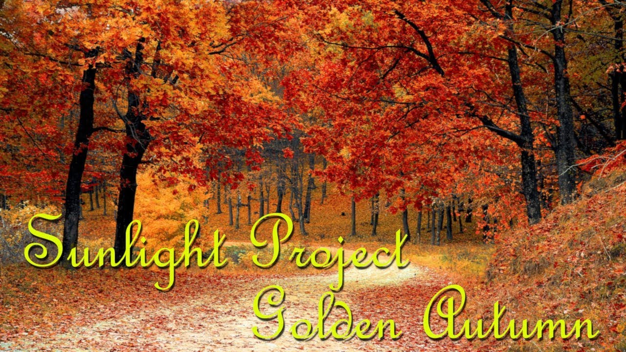 Sunlight Project - Golden Autumn (Melodic Progressive House)