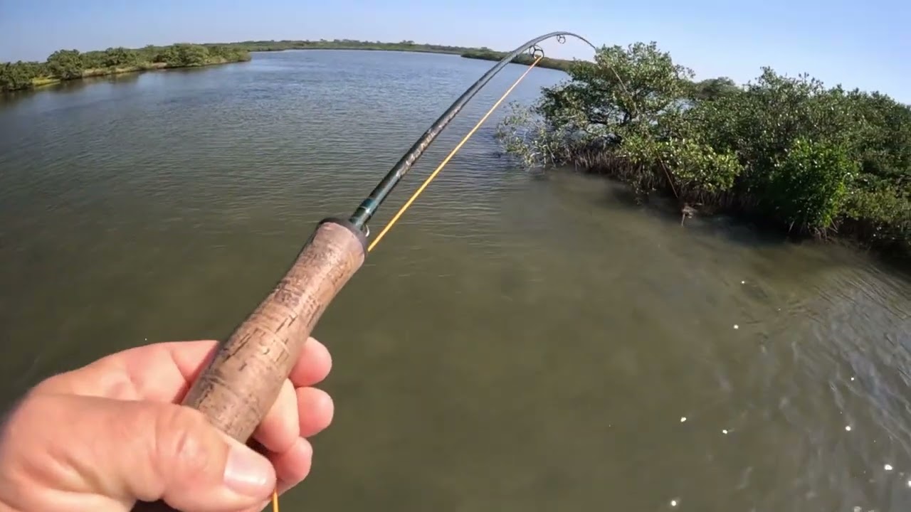 Redfish on the TFO BVK 6weight