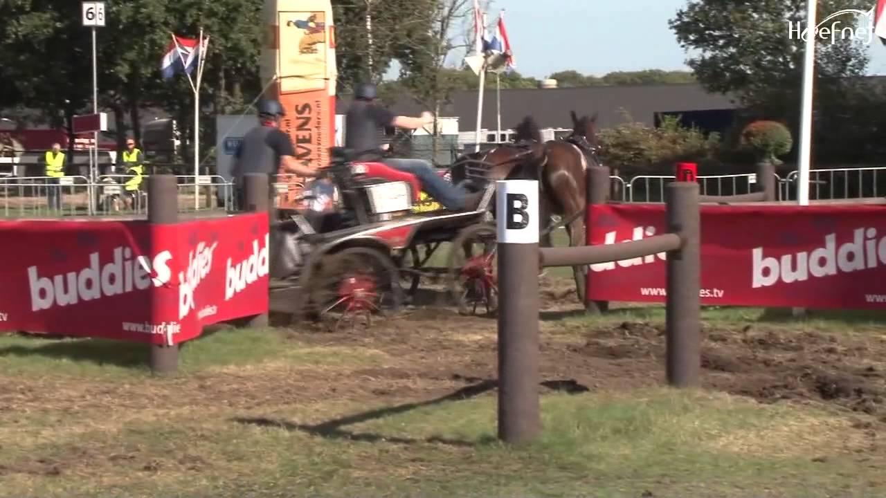2 span paarden marathon NK Mennen Deurne 2012