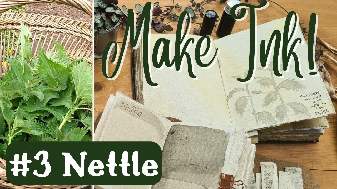 How to Make Ink with Plants - Recipe #3: Nettle