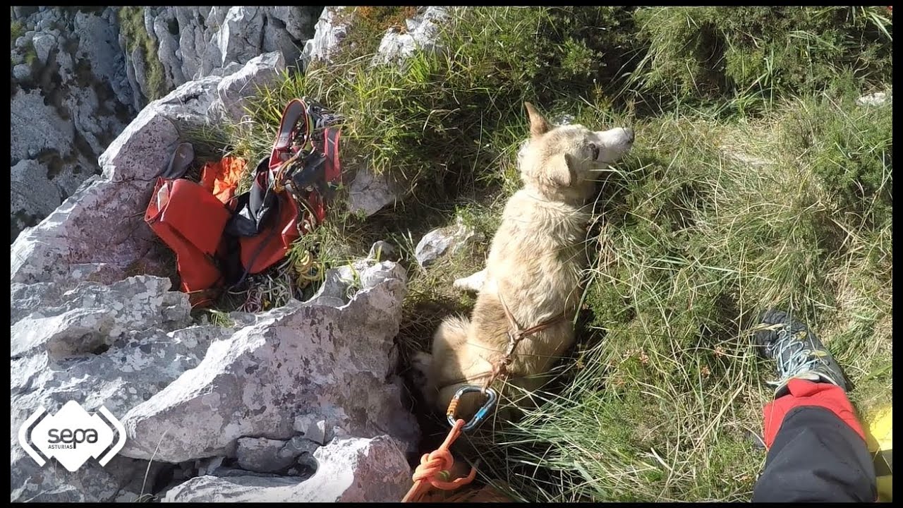 2022.10. 05 Rescate perro en la Sima del Cuera (Ruenes/Peñamellera Alta)