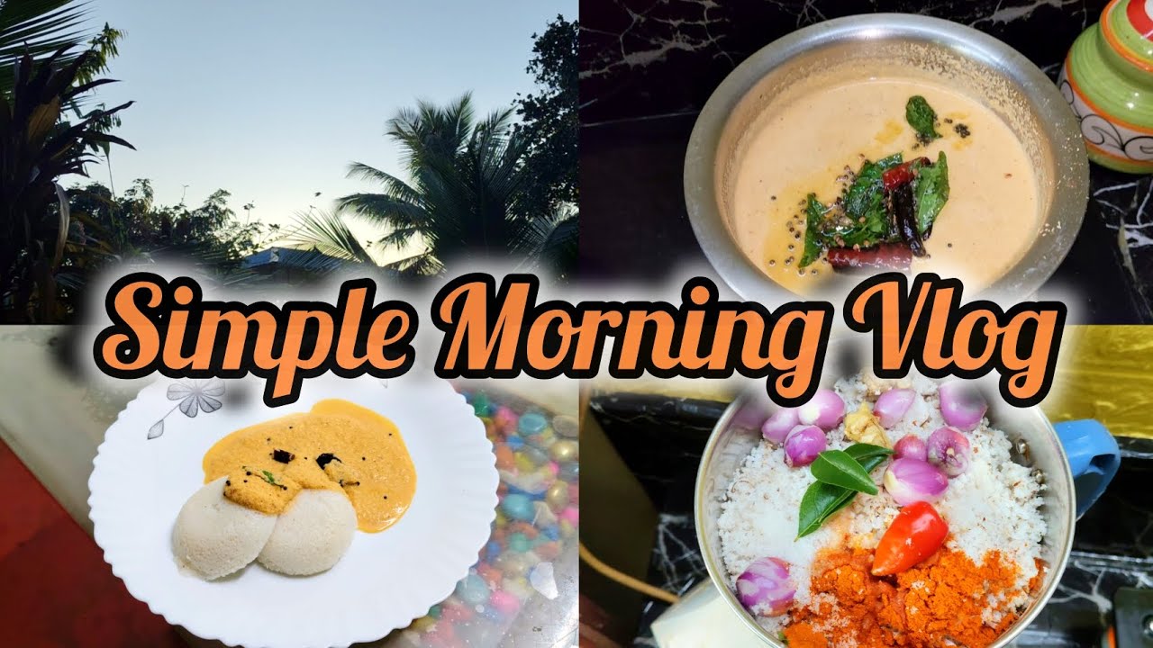 രാവിലത്തെ കുഞ്ഞു വിശേഷങ്ങൾ കണ്ടാലോ |Morning Vlog |Life with SUDHA 