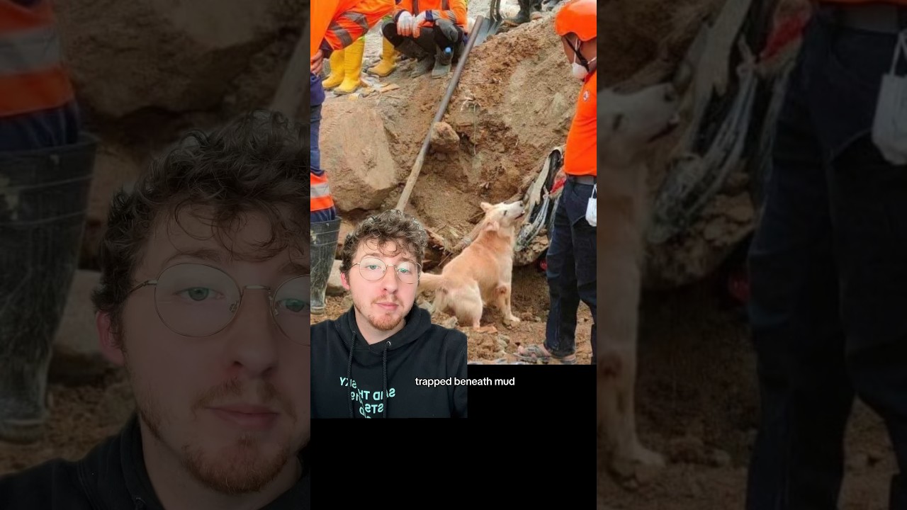 Search and Rescue K9 Finds 3-Year-Old Alive 60 Hours After Devastating Landslide