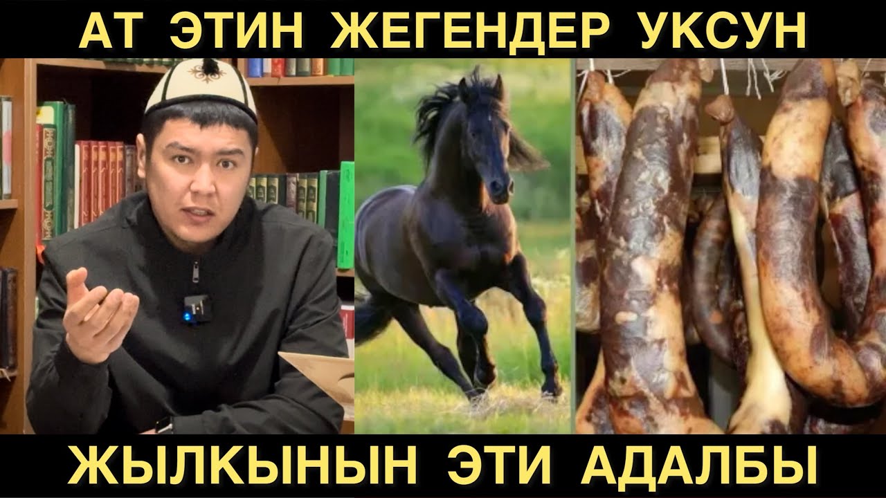 Ат этин жегендер угуп алышсын | Жылкынын эти адалбы? | Мухаммад Бекмин.