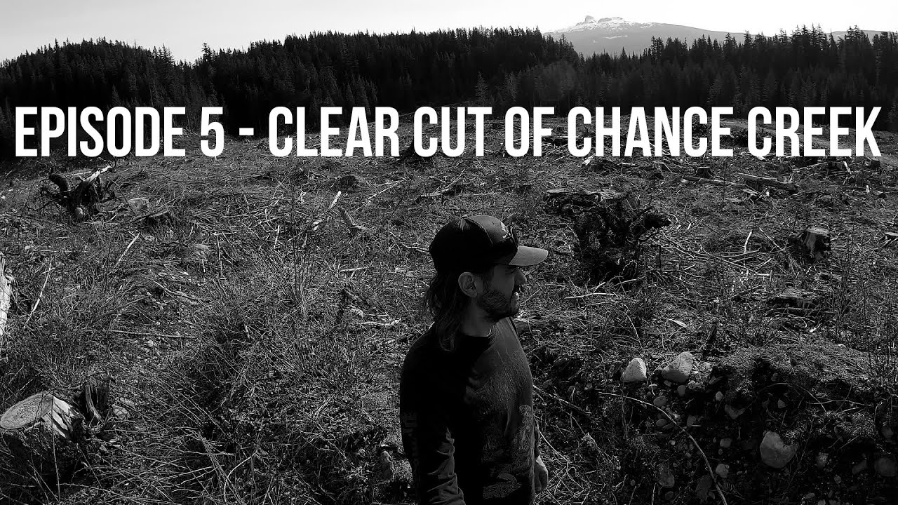 Episode 5 - Clear Cut of Chance Creek