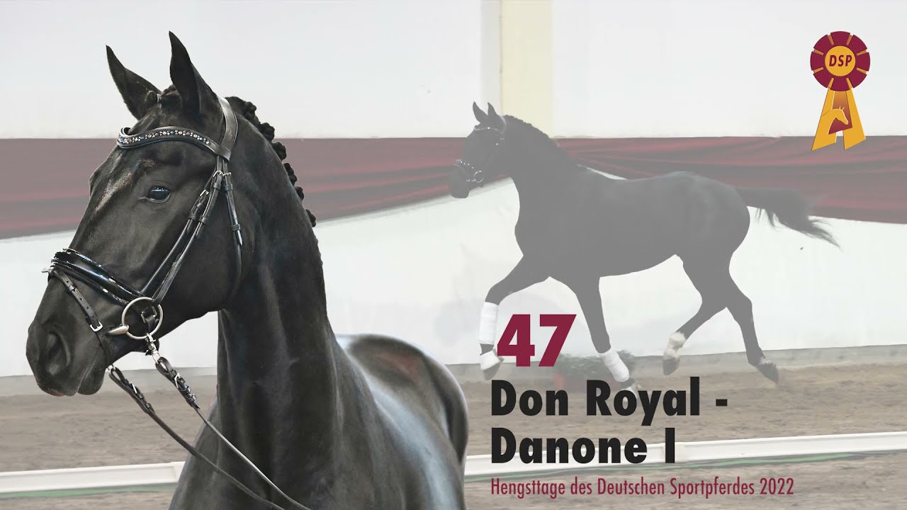 Lot 47: Hengst v. Don Royal/Danone