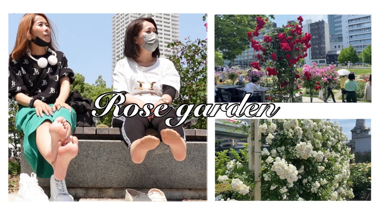 中之島のバラ園に行ってきました♪I went to the rose garden 足裏×ストッキング×裸足