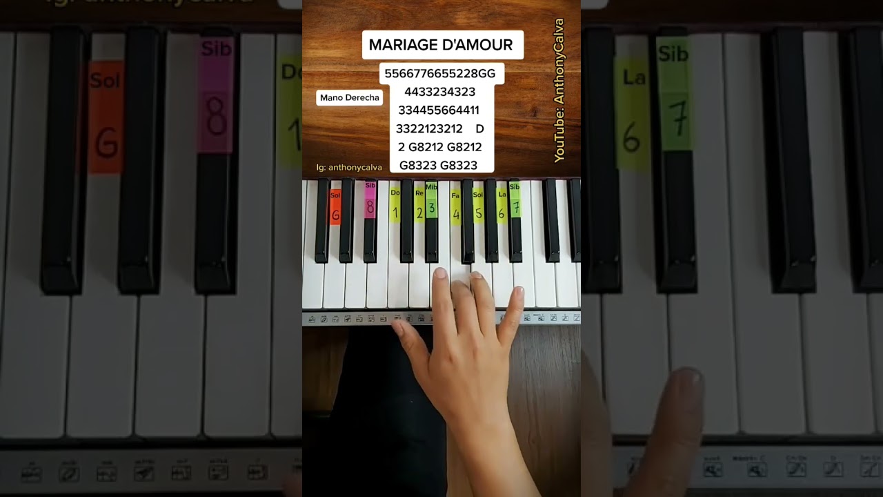 Mariage d'amour - Piano Tutorial EASY Piano F&aacute;cil
