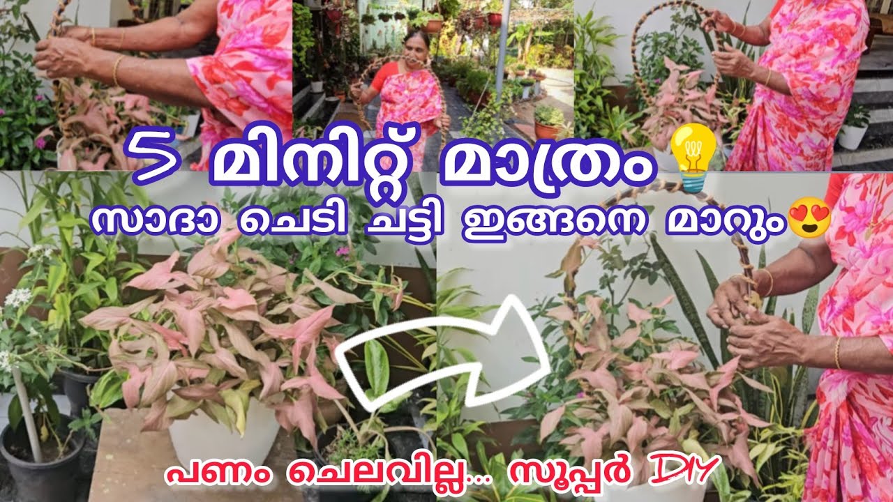 മമ്മിയുടെ വീണ്ടും നെറ്റിക്കൽ😱 ക്രാഫ്റ്റ്😍💚🪴