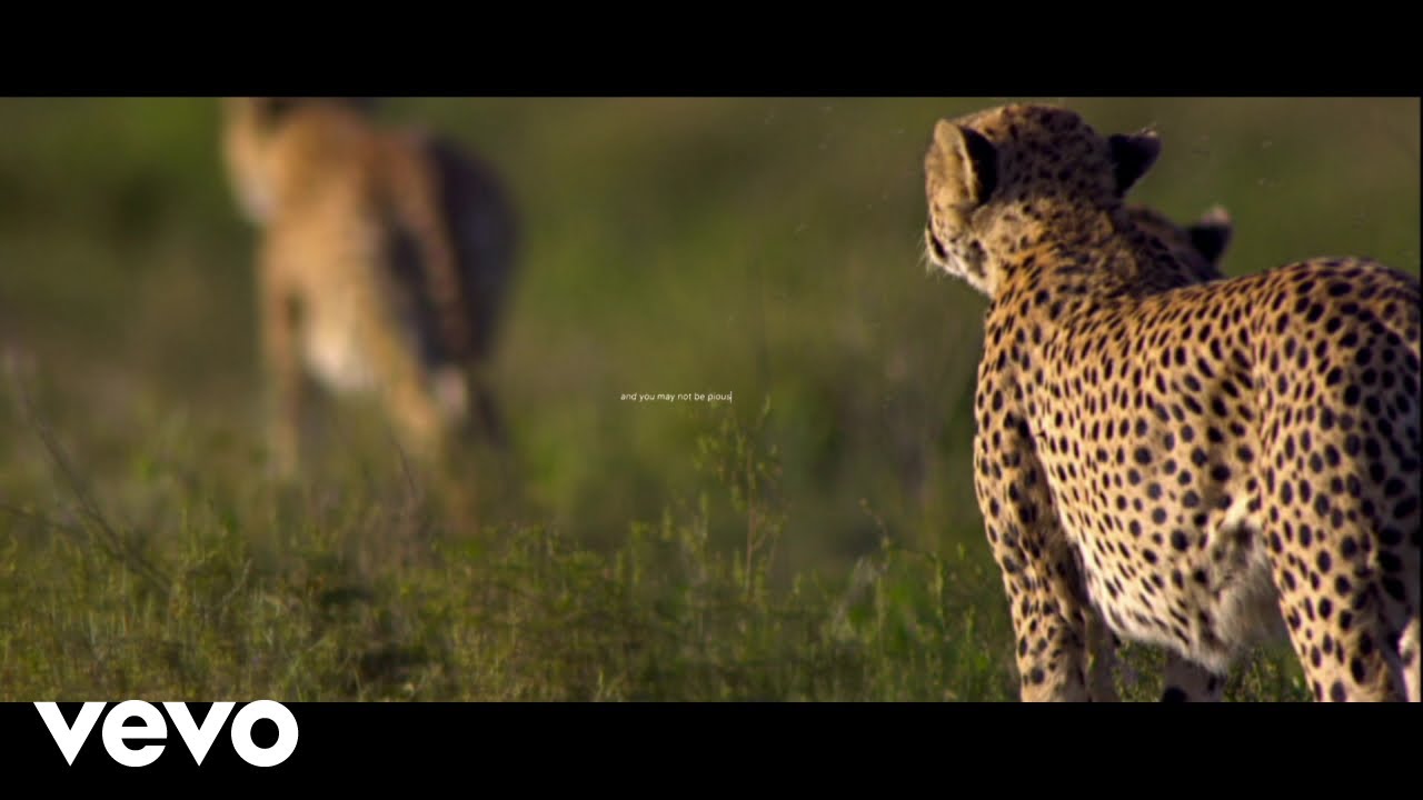 Mumford & Sons - Mumford & Sons and National Geographic Present: Forever