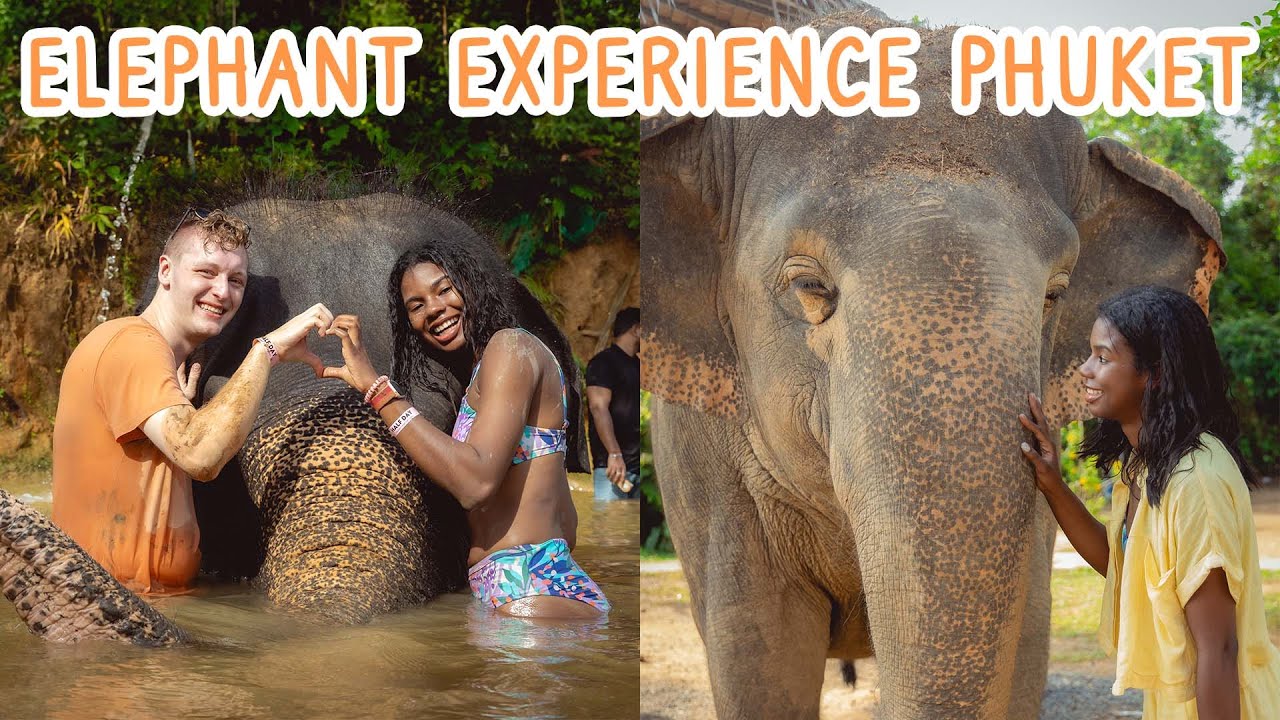 Elephant Jungle Sanctuary Phuket