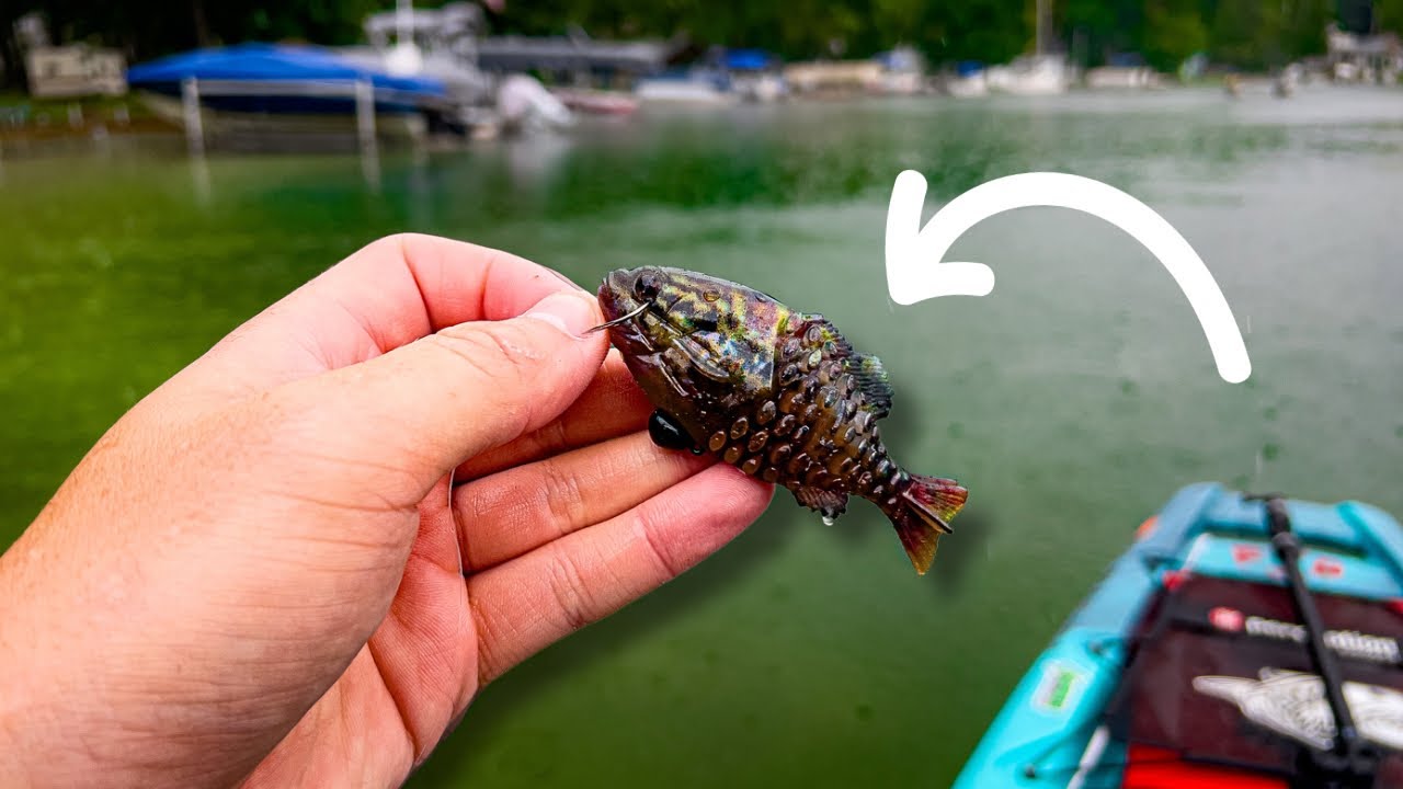 How YOU SHOULD Rig the Berkley Gilly!