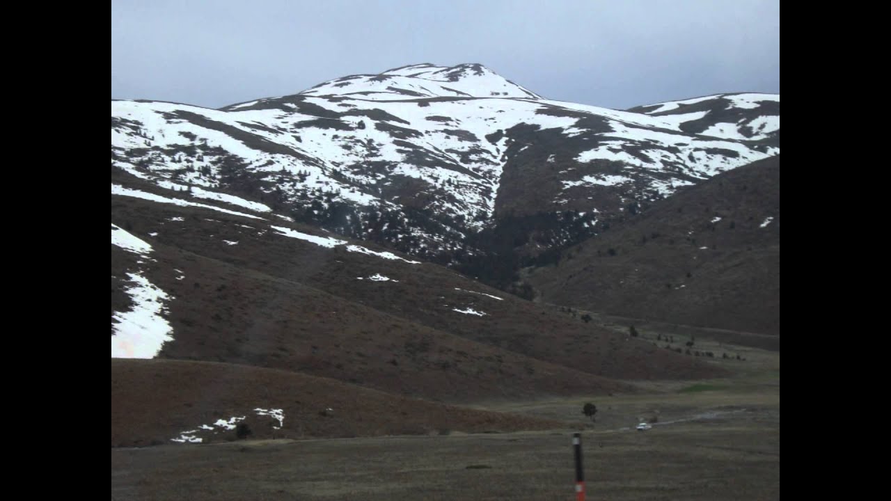 AZİZ ŞENSES- Koyuna Bak Koyuna