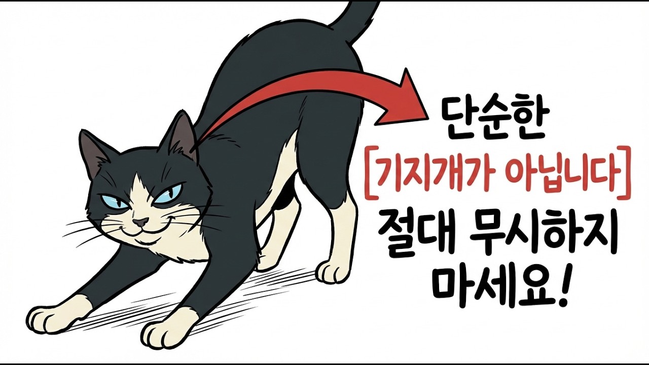 고양이가 당신을 보면 기지개를 켜는 이유는 이런 의미입니다