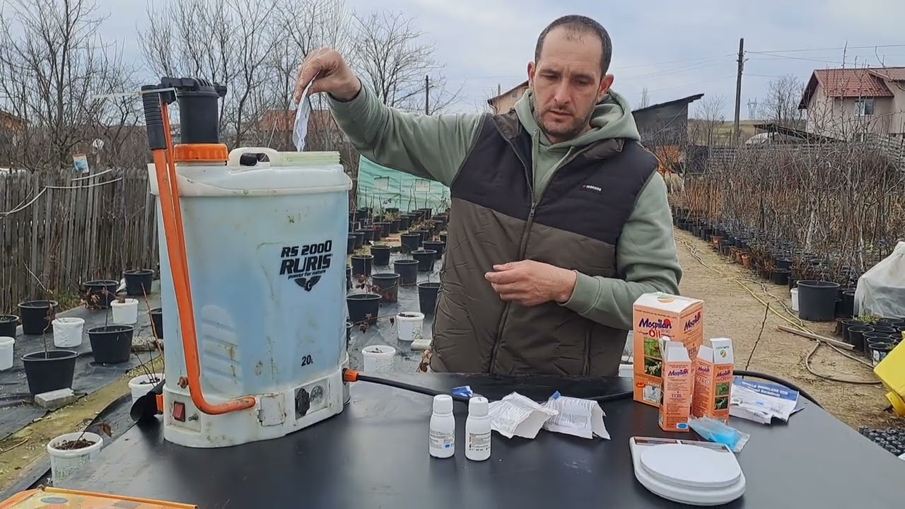 Stropirea pomilor, arbuștilor și a viței de vie în repaus vegetativ!